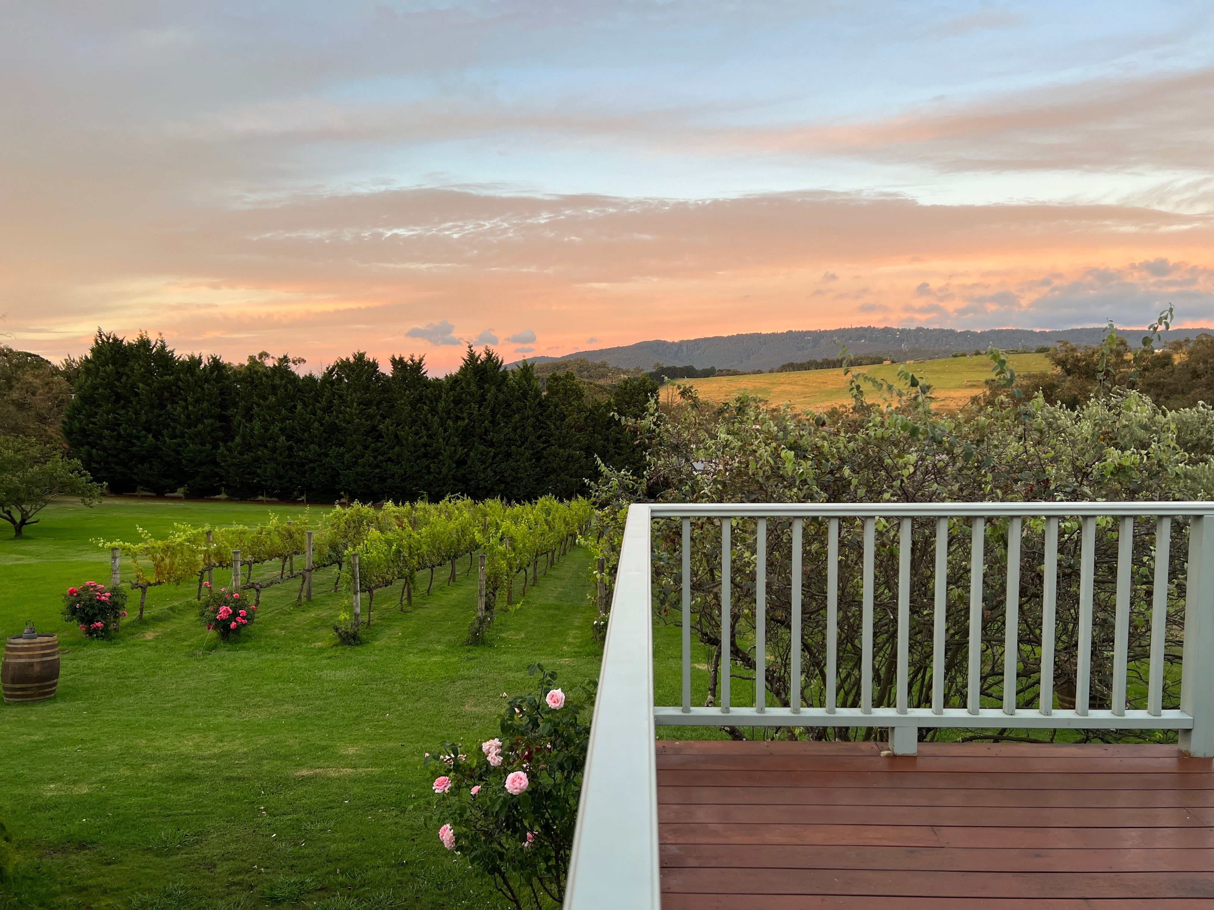 Intimate Wedding at Vineyard Hobby Farm | 50 people