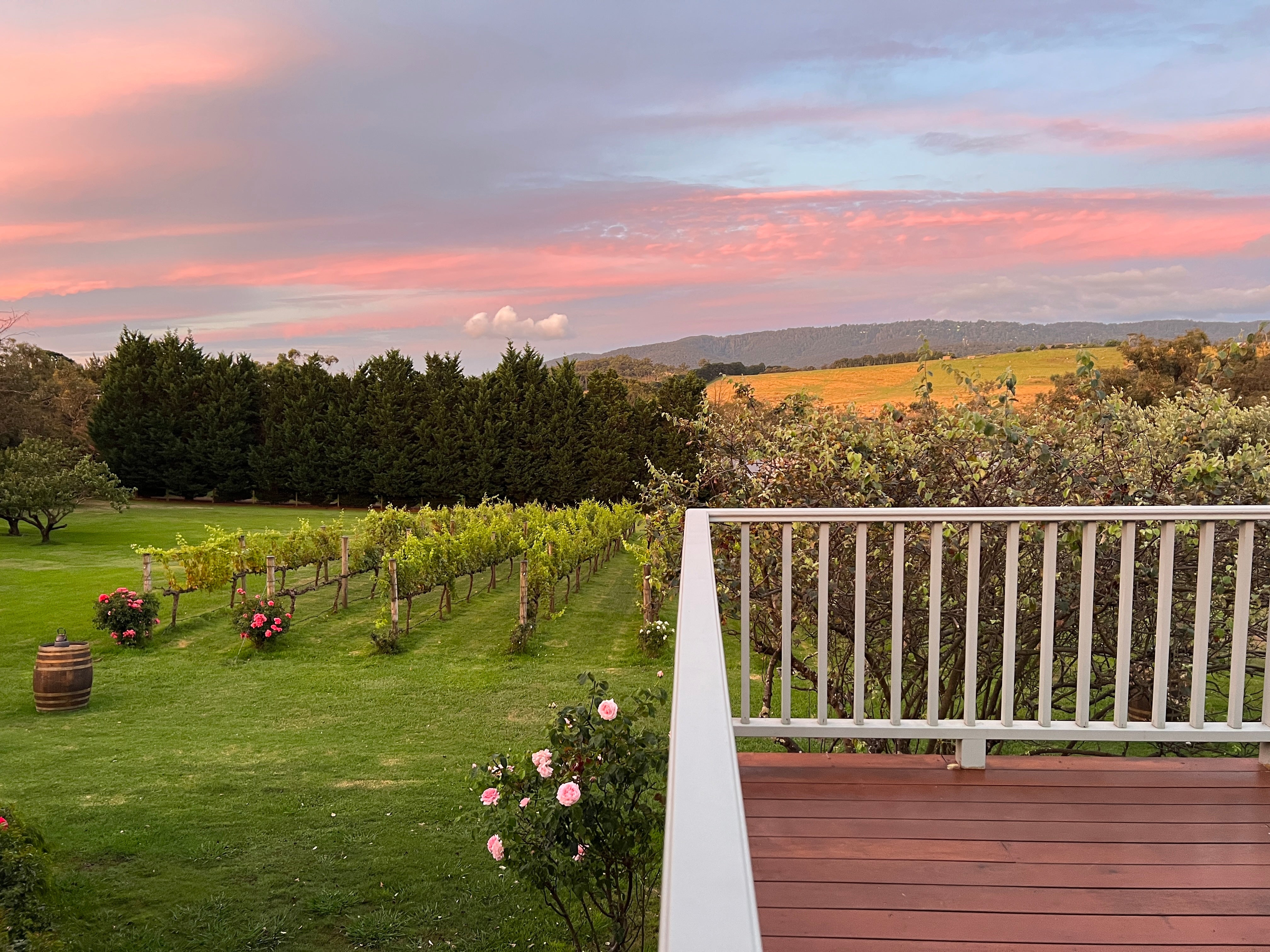 Overnight stay at Vineyard Hobby Farm